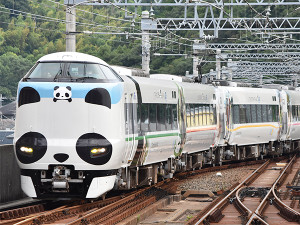 まだ間に合う！白浜のパンダに会いに行こう！～アクセス編～